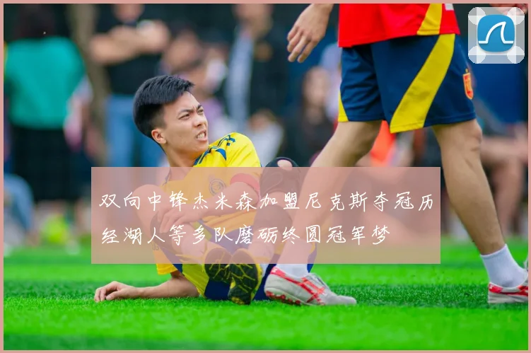 双向中锋杰米森加盟尼克斯夺冠历经湖人等多队磨砺终圆冠军梦